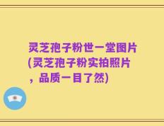 灵芝孢子粉世一堂图片(灵芝孢子粉实拍照片，品质一目了然)