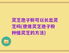 灵芝孢子粉可以长出灵芝吗(使用灵芝孢子粉种植灵芝的方法)