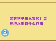 灵芝孢子粉入肾经？灵芝泡水喝有什么作用