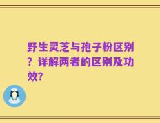 野生灵芝与孢子粉区别？详解两者的区别及功效？