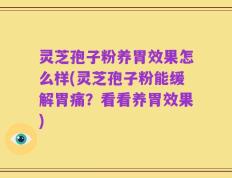 灵芝孢子粉养胃效果怎么样(灵芝孢子粉能缓解胃痛？看看养胃效果)