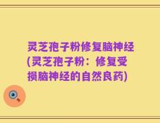 灵芝孢子粉修复脑神经(灵芝孢子粉：修复受损脑神经的自然良药)