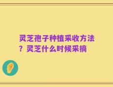 灵芝孢子种植采收方法？灵芝什么时候采摘