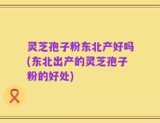 灵芝孢子粉东北产好吗(东北出产的灵芝孢子粉的好处)