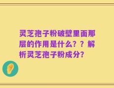 灵芝孢子粉破壁里面那层的作用是什么？？解析灵芝孢子粉成分？