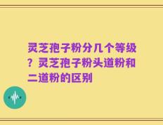 灵芝孢子粉分几个等级？灵芝孢子粉头道粉和二道粉的区别