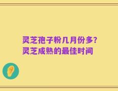 灵芝孢子粉几月份多？灵芝成熟的最佳时间