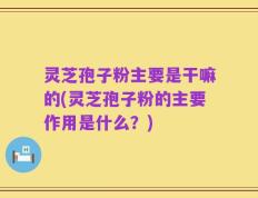 灵芝孢子粉主要是干嘛的(灵芝孢子粉的主要作用是什么？)