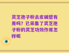 灵芝孢子粉去皮破壁有用吗？已采集了灵芝孢子粉的灵芝功效作用怎样呢