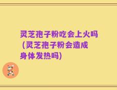 灵芝孢子粉吃会上火吗 (灵芝孢子粉会造成身体发热吗)