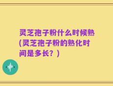 灵芝孢子粉什么时候熟(灵芝孢子粉的熟化时间是多长？)