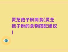 灵芝孢子粉同食(灵芝孢子粉的食物搭配建议)