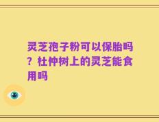 灵芝孢子粉可以保胎吗？杜仲树上的灵芝能食用吗