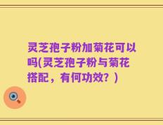 灵芝孢子粉加菊花可以吗(灵芝孢子粉与菊花搭配，有何功效？)