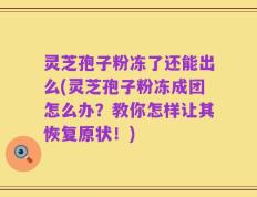 灵芝孢子粉冻了还能出么(灵芝孢子粉冻成团怎么办？教你怎样让其恢复原状！)