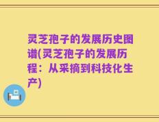 灵芝孢子的发展历史图谱(灵芝孢子的发展历程：从采摘到科技化生产)