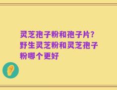灵芝孢子粉和孢子片？野生灵芝粉和灵芝孢子粉哪个更好