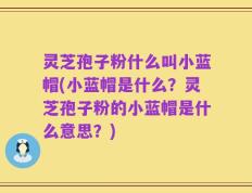 灵芝孢子粉什么叫小蓝帽(小蓝帽是什么？灵芝孢子粉的小蓝帽是什么意思？)