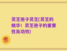 灵芝孢子灵芝(灵芝的精华！灵芝孢子的重要性及功效)