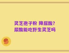 灵芝孢子粉 降尿酸？尿酸能吃野生灵芝吗