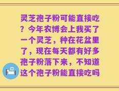 灵芝孢子粉可能直接吃？今年农博会上我买了一个灵芝，种在花盆里了，现在每天都有好多孢子粉落下来，不知道这个孢子粉能直接吃吗
