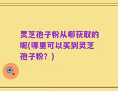 灵芝孢子粉从哪获取的呢(哪里可以买到灵芝孢子粉？)