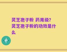 灵芝孢子粉 药用级？灵芝孢子粉的功效是什么