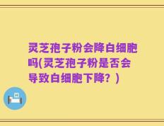 灵芝孢子粉会降白细胞吗(灵芝孢子粉是否会导致白细胞下降？)