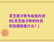 灵芝孢子粉为啥是片状的(灵芝孢子粉的片状形态原因是什么？)