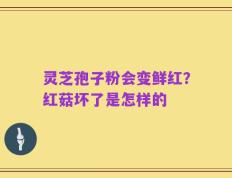 灵芝孢子粉会变鲜红？红菇坏了是怎样的