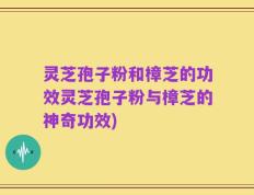 灵芝孢子粉和樟芝的功效灵芝孢子粉与樟芝的神奇功效)