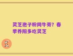 灵芝孢子粉同牛蒡？春季养阳多吃灵芝