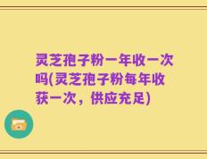 灵芝孢子粉一年收一次吗(灵芝孢子粉每年收获一次，供应充足)