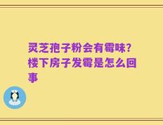 灵芝孢子粉会有霉味？楼下房子发霉是怎么回事