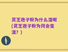 灵芝孢子粉为什么湿呢(灵芝孢子粉为何会变湿？)