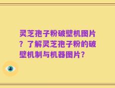 灵芝孢子粉破壁机图片？了解灵芝孢子粉的破壁机制与机器图片？
