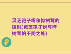 灵芝孢子粉和桦树茸的区别(灵芝孢子粉与桦树茸的不同之处)