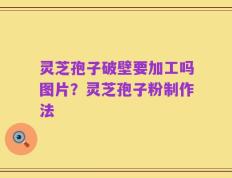 灵芝孢子破壁要加工吗图片？灵芝孢子粉制作法