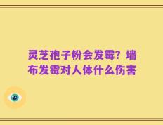 灵芝孢子粉会发霉？墙布发霉对人体什么伤害