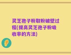 灵芝孢子粉取粉破壁过程(提高灵芝孢子粉吸收率的方法)