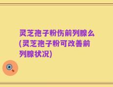 灵芝孢子粉伤前列腺么(灵芝孢子粉可改善前列腺状况)