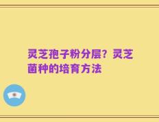 灵芝孢子粉分层？灵芝菌种的培育方法