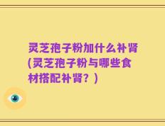 灵芝孢子粉加什么补肾(灵芝孢子粉与哪些食材搭配补肾？)