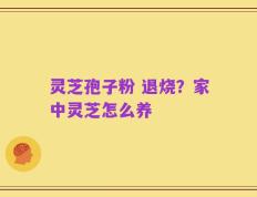 灵芝孢子粉 退烧？家中灵芝怎么养
