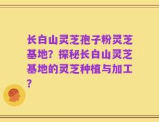 长白山灵芝孢子粉灵芝基地？探秘长白山灵芝基地的灵芝种植与加工？