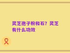 灵芝孢子粉和石？灵芝有什么功效