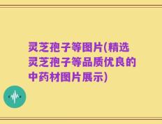 灵芝孢子等图片(精选灵芝孢子等品质优良的中药材图片展示)