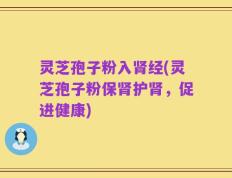 灵芝孢子粉入肾经(灵芝孢子粉保肾护肾，促进健康)