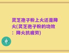 灵芝孢子粉上火还是降火(灵芝孢子粉的功效：降火抗疲劳)