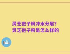 灵芝孢子粉冲水分层？灵芝孢子粉是怎么样的